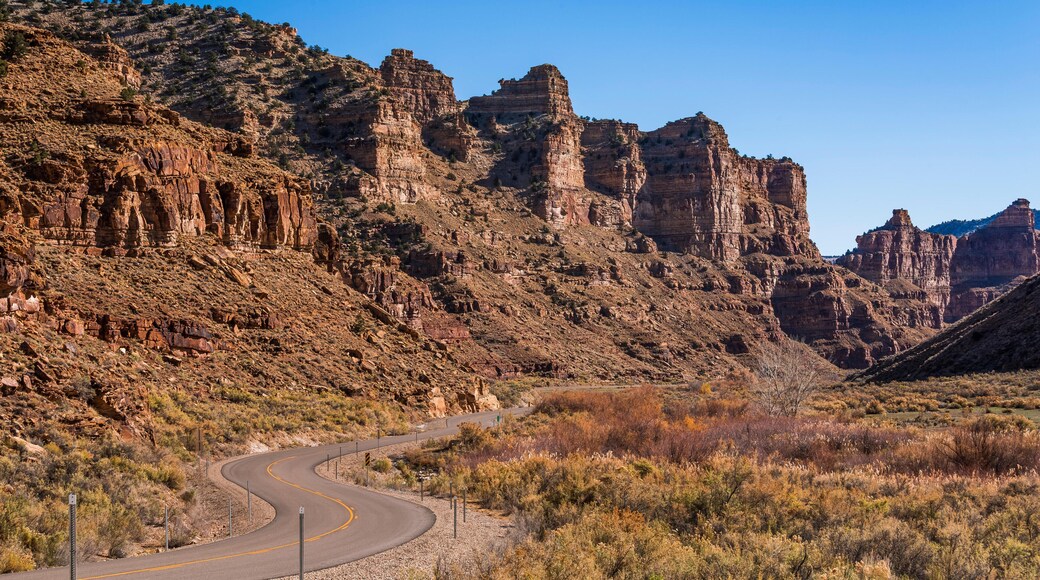 เวลลิงตัน