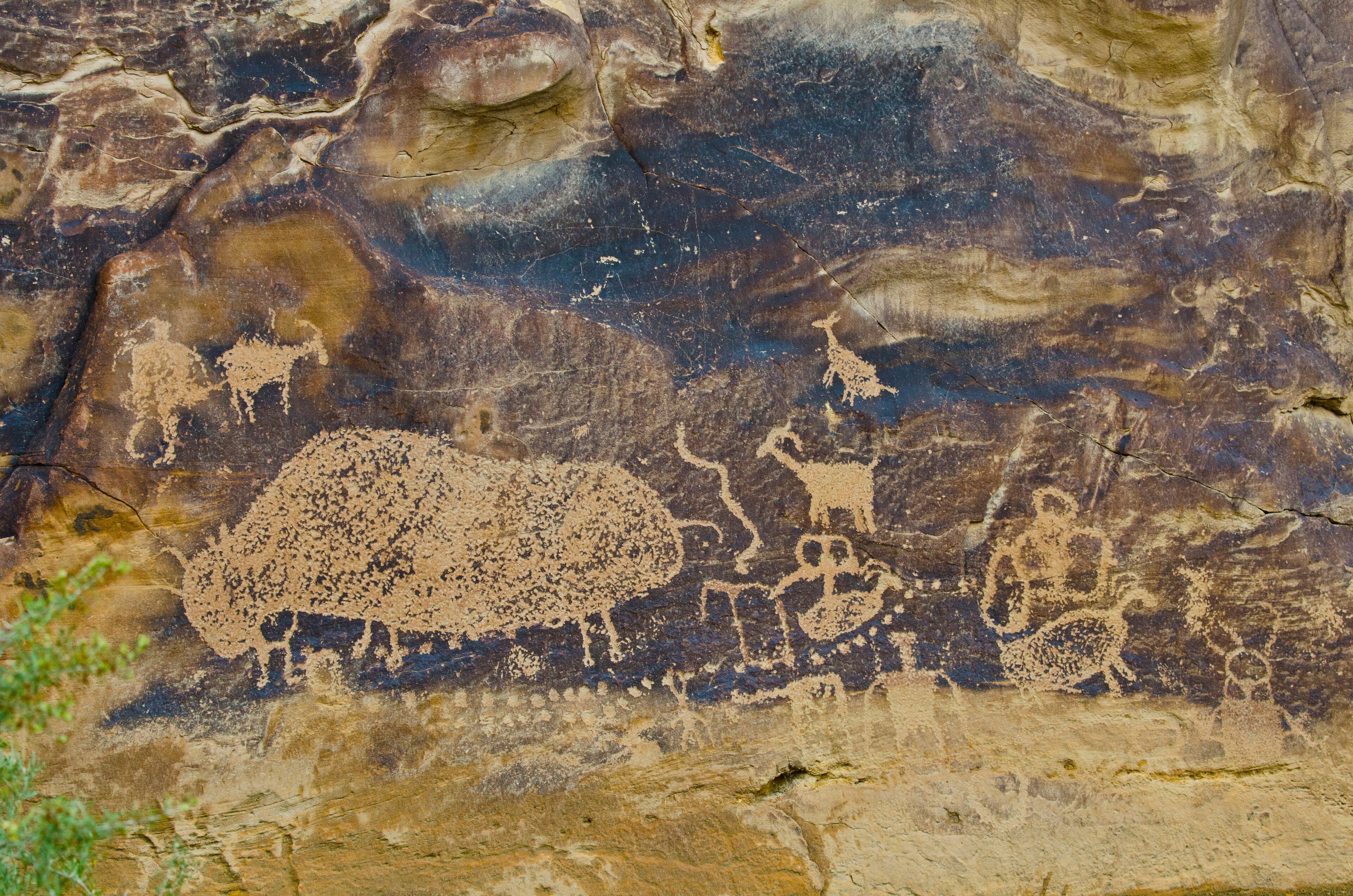 เวลลิงตัน