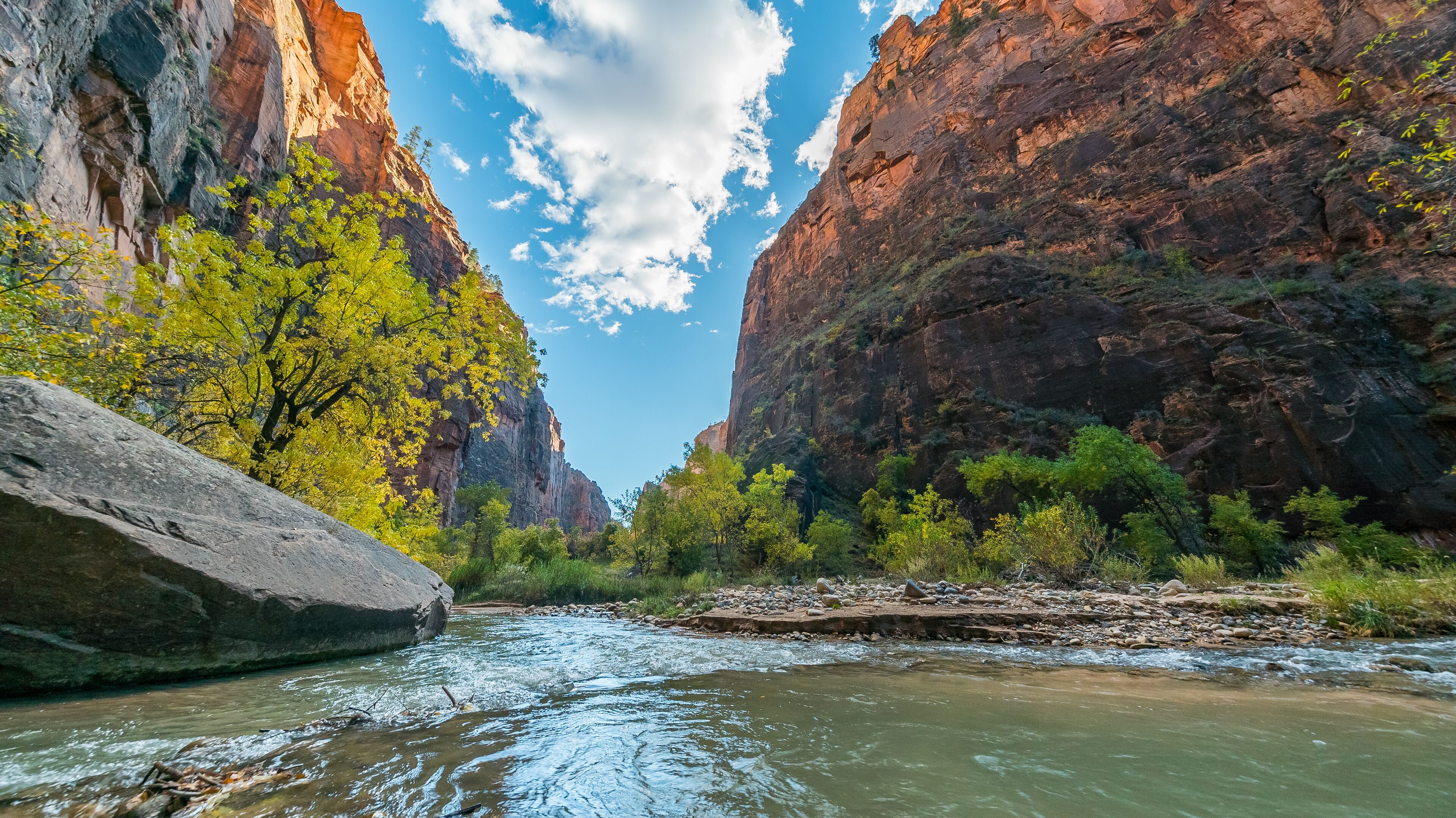 Riverside walk, beautiful hike along the Virgin River. Zion National Park, Utah, USA