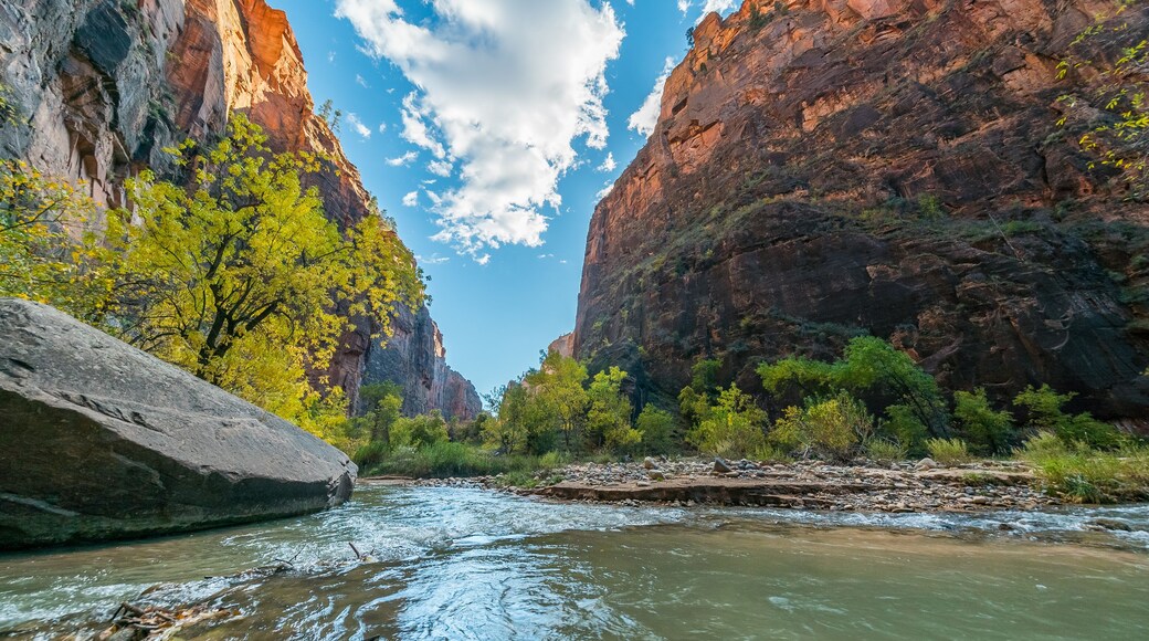 Riverside walk, beautiful hike along the Virgin River. Zion National Park, Utah, USA