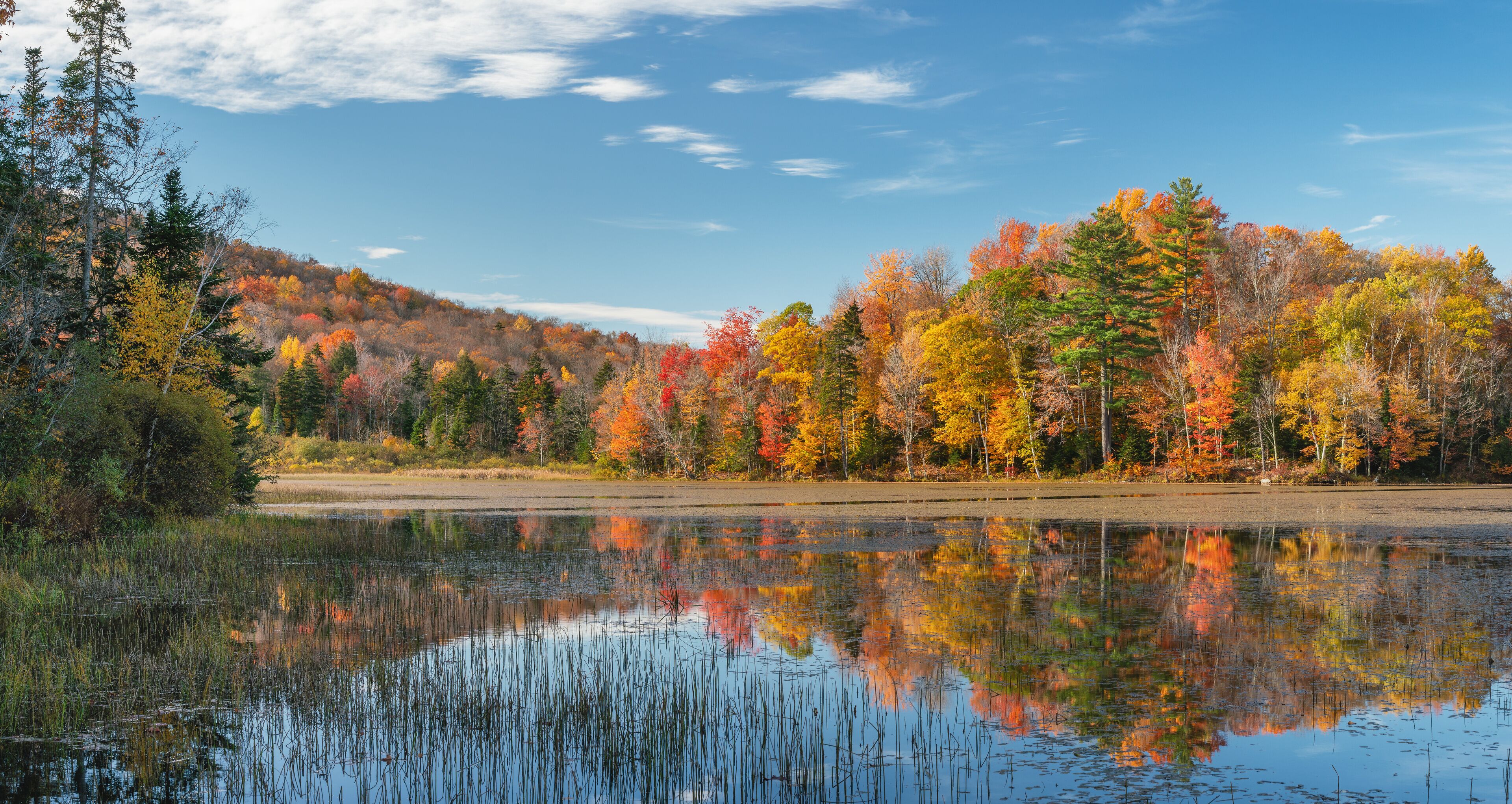Lefferts Pond  near Killington Vermont in Autumn