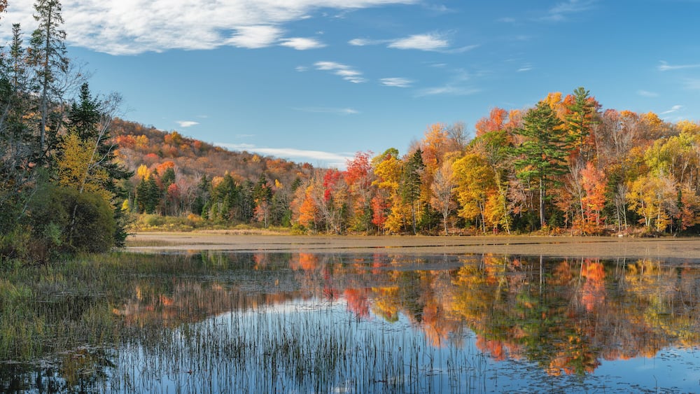 Lefferts Pond near Killington Vermont in Autumn