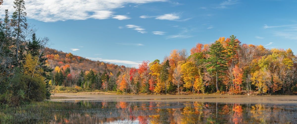 A calm lake reflecting colorful autumn trees and a clear blue sky.