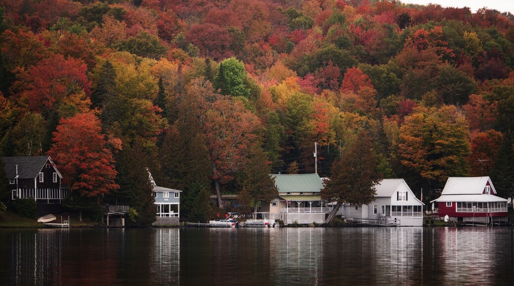 While meandering through central Vermont, we happened upon this idyllic summer resort spot. Everything about it made me want to be a 13-year-old kid again on summer vacation. #weekendgetaways #vermont #autumn #golden #goldentravelfinds