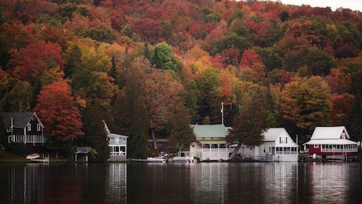 While meandering through central Vermont, we happened upon this idyllic summer resort spot. Everything about it made me want to be a 13-year-old kid again on summer vacation. #weekendgetaways #vermont #autumn #golden #goldentravelfinds