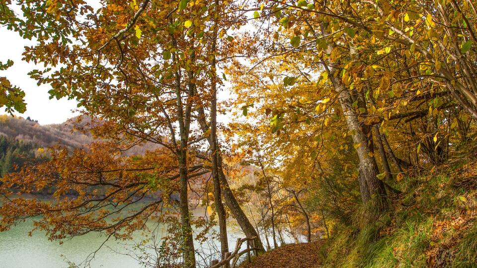 Pathway of the lake of Brugneto in autumn, province of Genoa, Antola Park, Italy