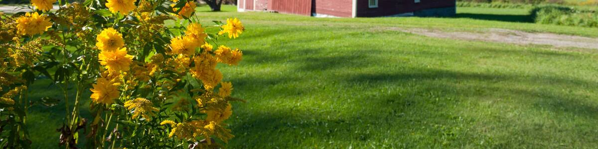 Little farm in the mountains in Dorset, Vermont, New England