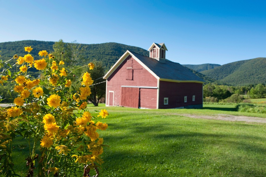 Little farm in the mountains in Dorset, Vermont, New England