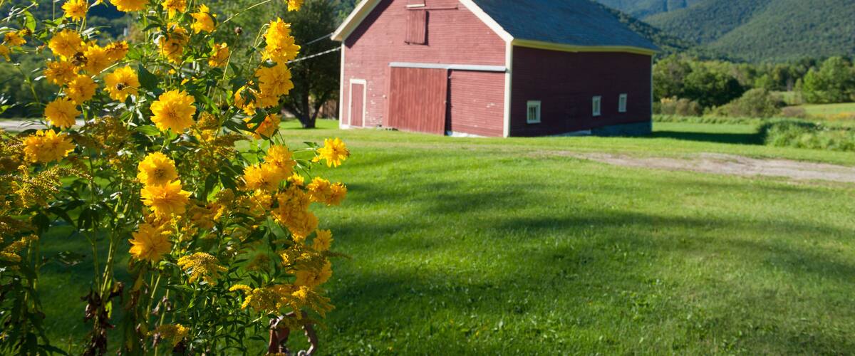 Little farm in the mountains in Dorset, Vermont, New England