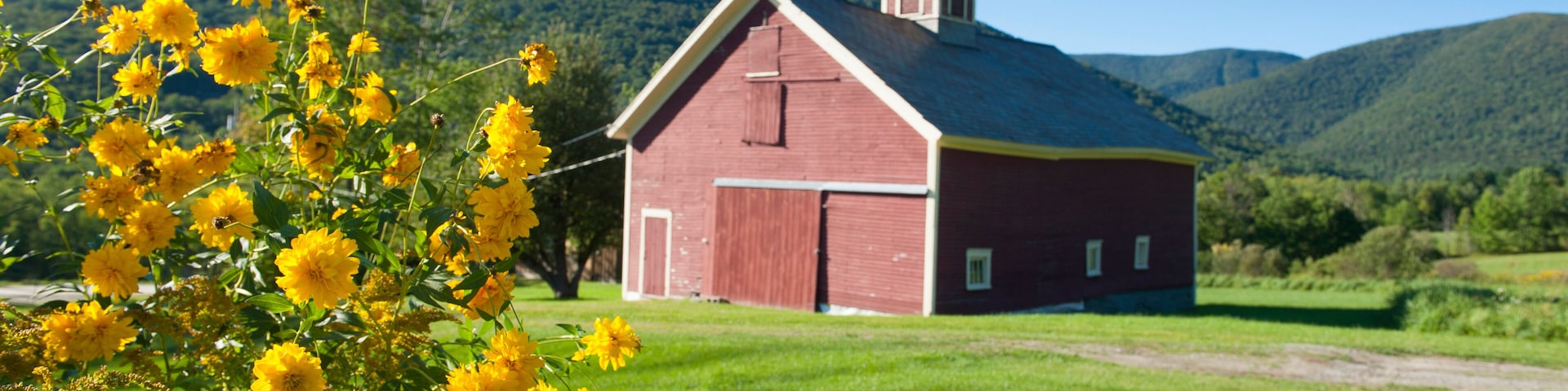Little farm in the mountains in Dorset, Vermont, New England