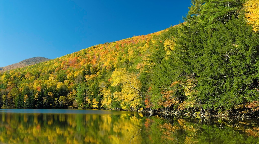 Just off US7 north of Manchester, VT, Emerald Lake is a great place to photograph fall colors.