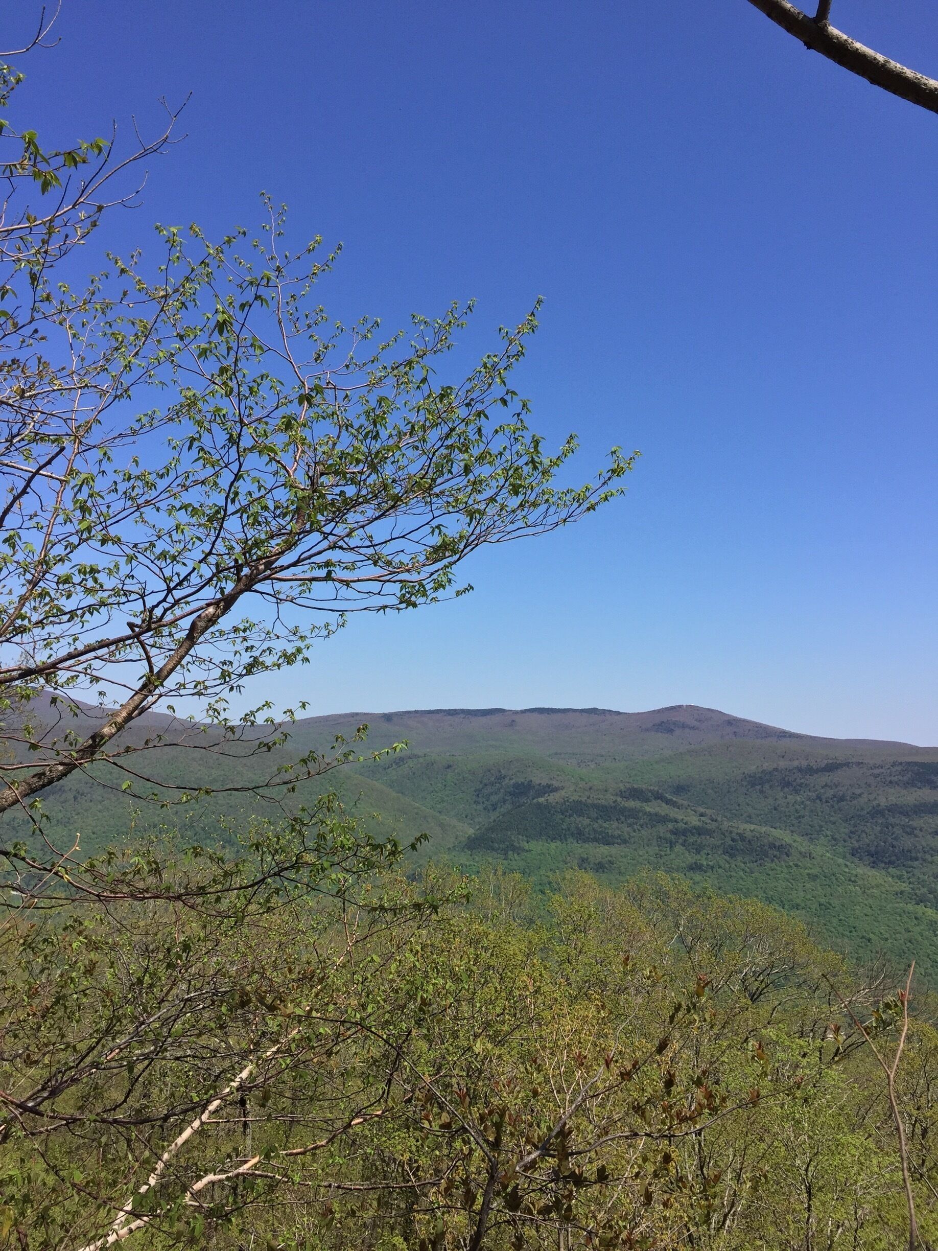 Mellow 90 minute hike in VT on trails owned and maintained by The Nature Conservancy