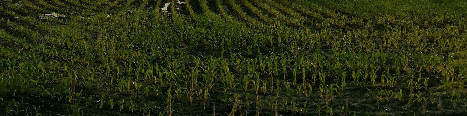 Awesome view from the road