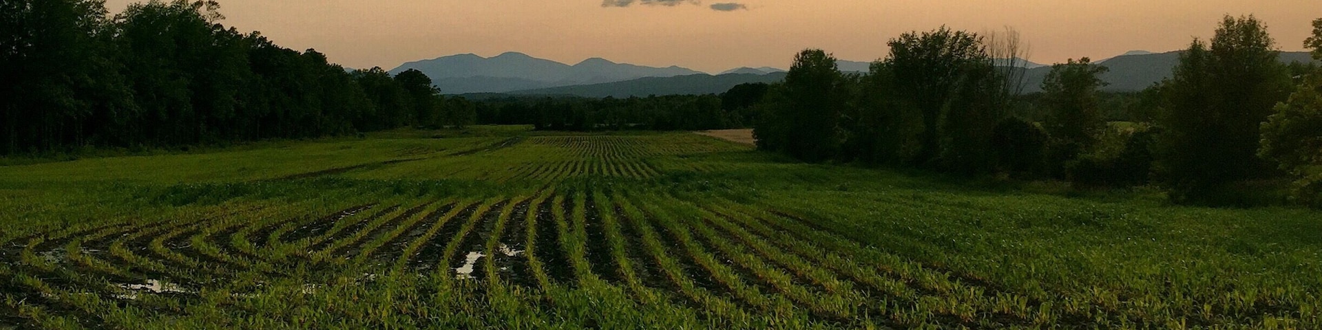 Awesome view from the road