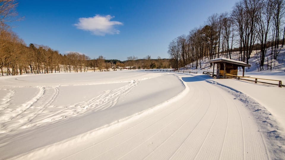 A snow-covered landscape with a wooden shelter and a clear blue sky.