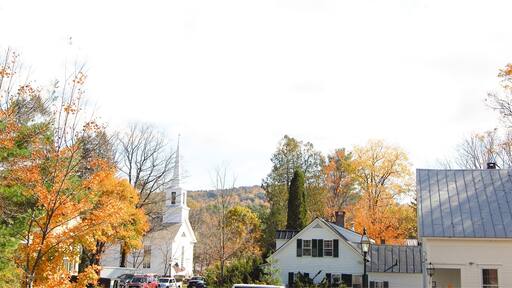 Cutest little town I've ever seen. I can't wait to go back to Vermont, hopefully without the asthma episode and trip to the ER 🙃