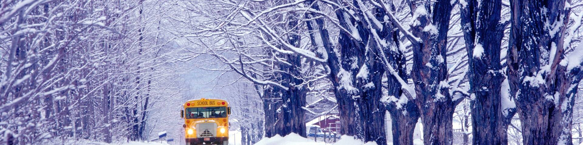 School bus in Jericho, VT.