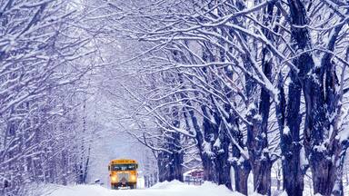 School bus in Jericho, VT.