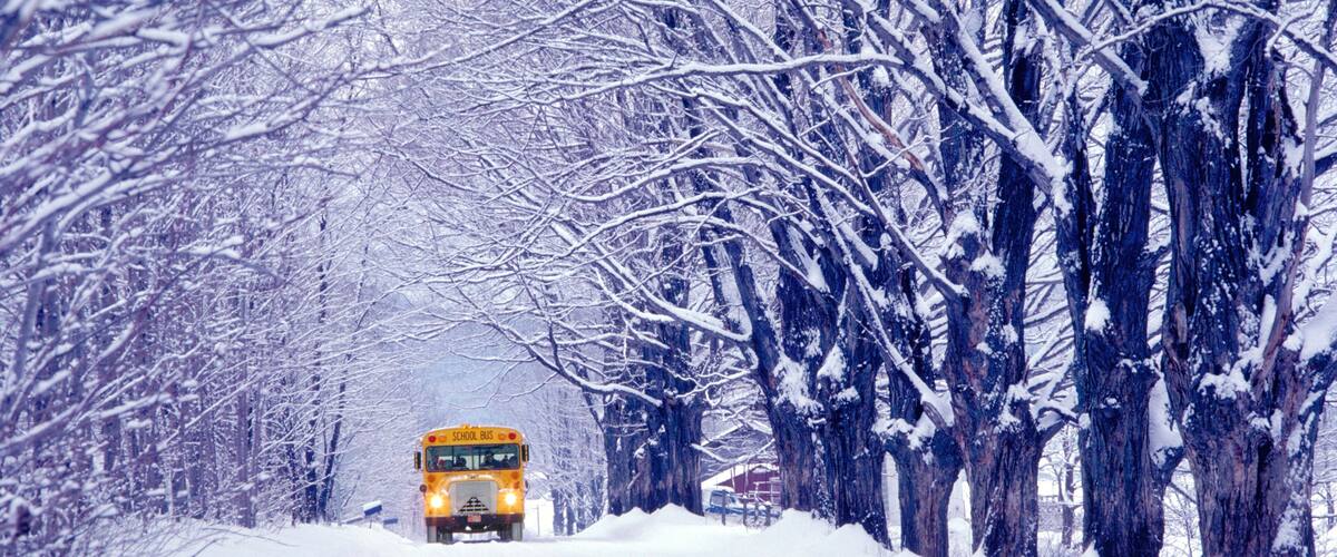 A snow-covered road lined with trees and a yellow school bus.