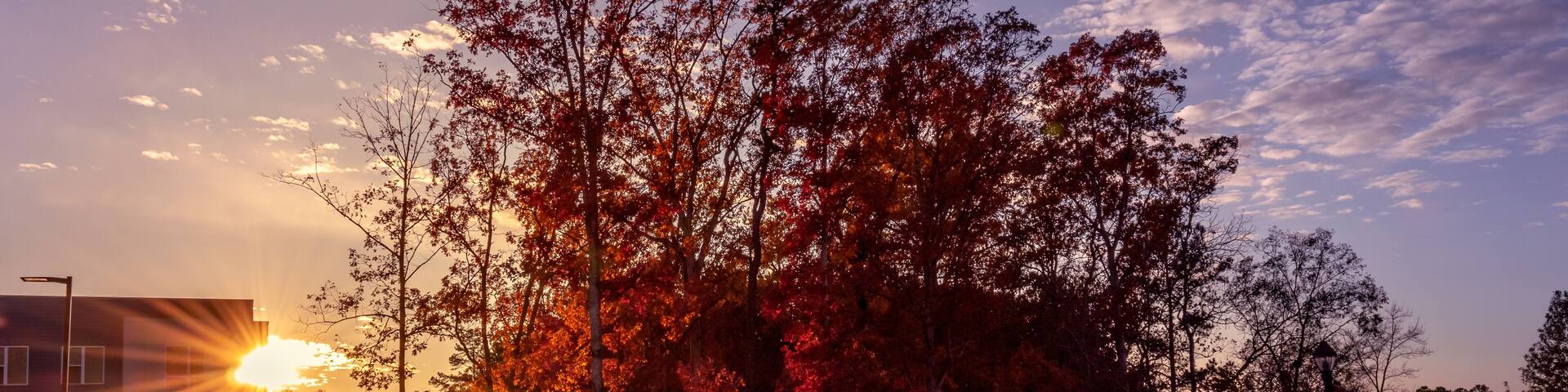 Sunset by a condo during the fall season