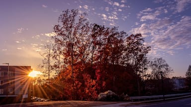 Sunset by a condo during the fall season