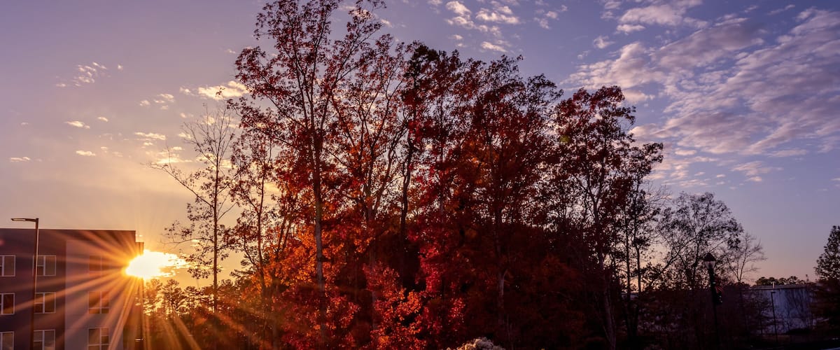 A sunset with red autumn leaves, a road, and a building in the background.