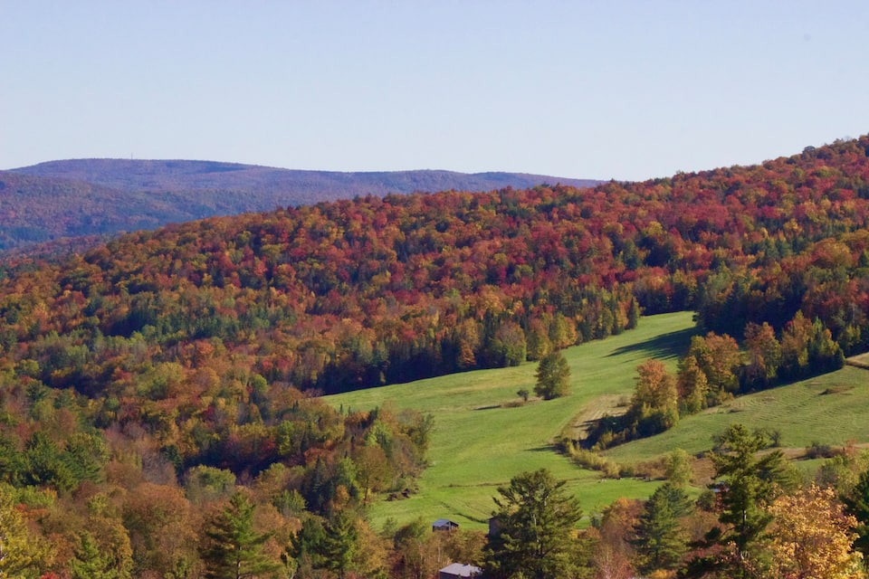 A hilly landscape with autumn foliage, green fields, and scattered trees.