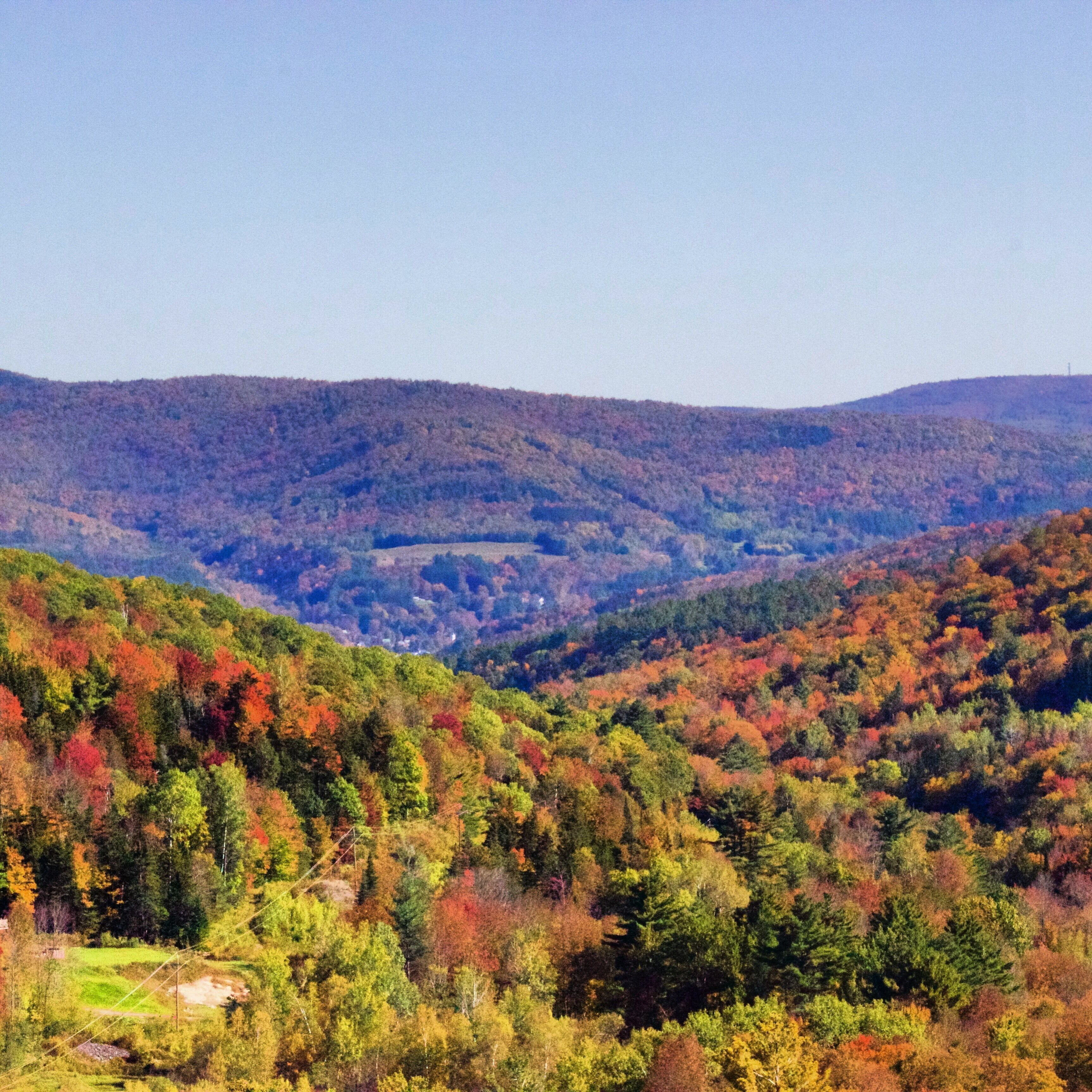 Same photo at 100mm.