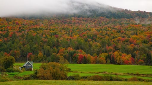 Fall colors in Northfield, Vermont.