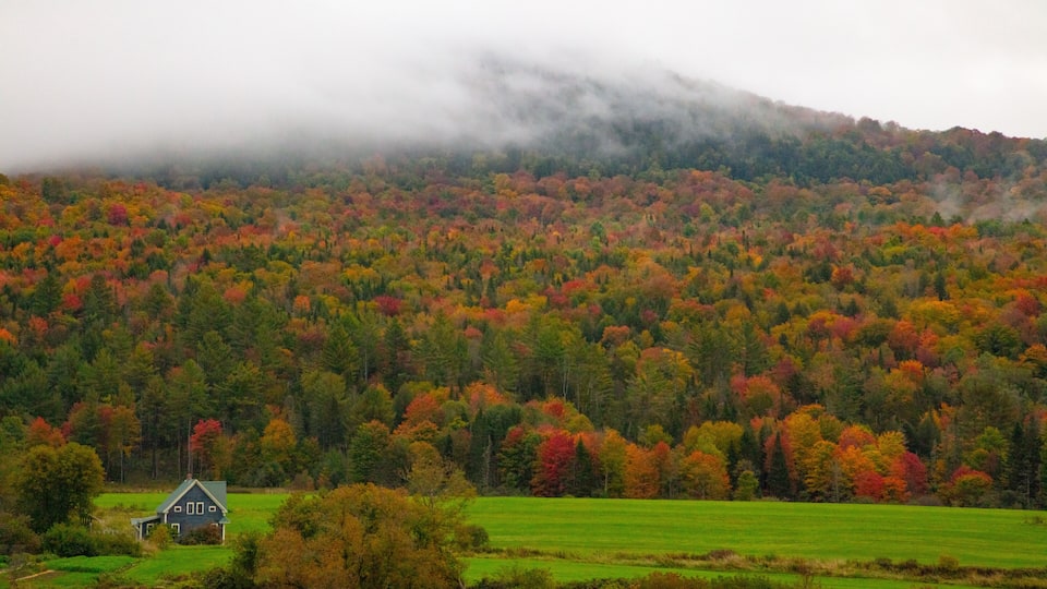 A house surrounded by a forest with autumn foliage.