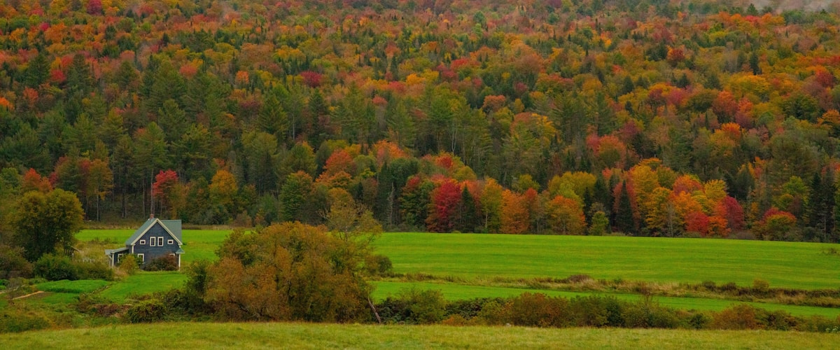 A house surrounded by a forest with autumn foliage.