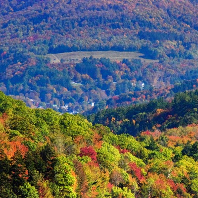 Northfield, Vt. Taken at 400mm from atop power line access approximately 5 miles up Union Brook.