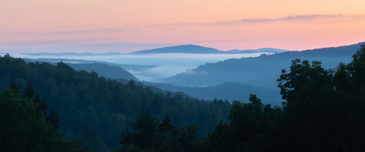 A forested valley with mist-covered hills and a clear sky.