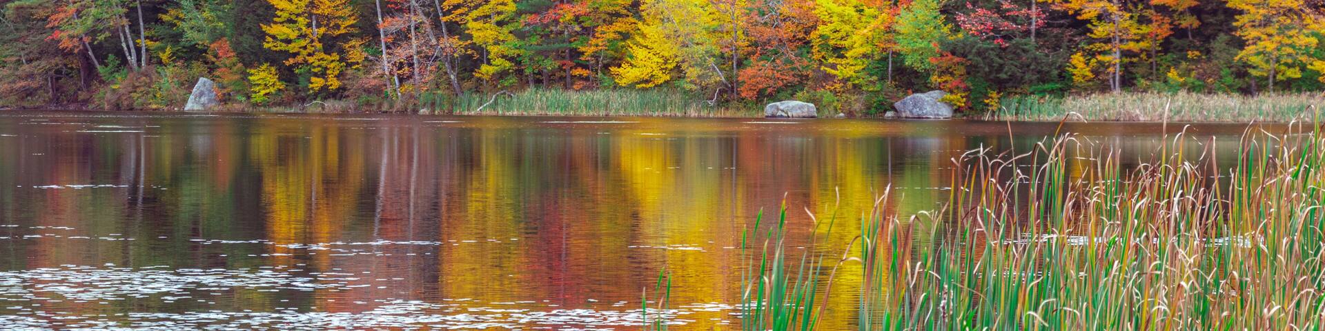 autumn trees reflected in water