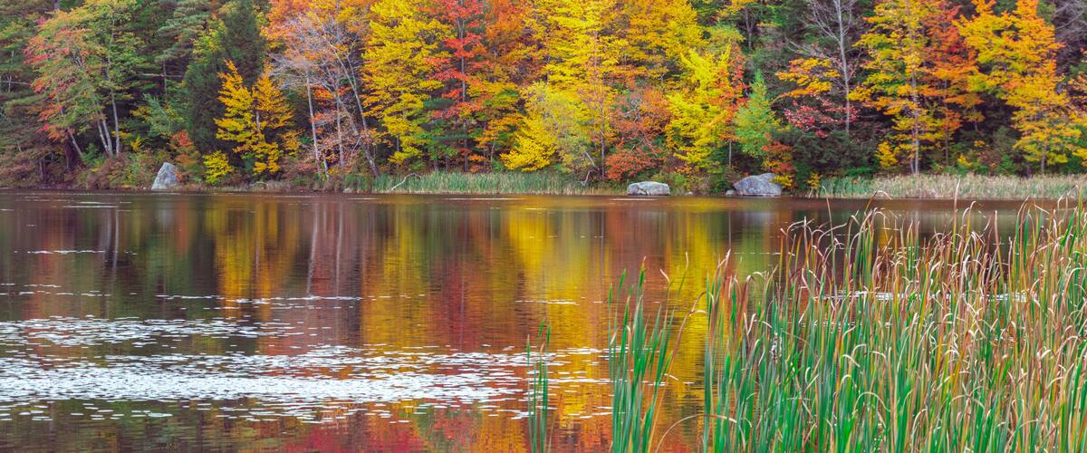 A lake surrounded by autumn-colored trees and a rocky shoreline.