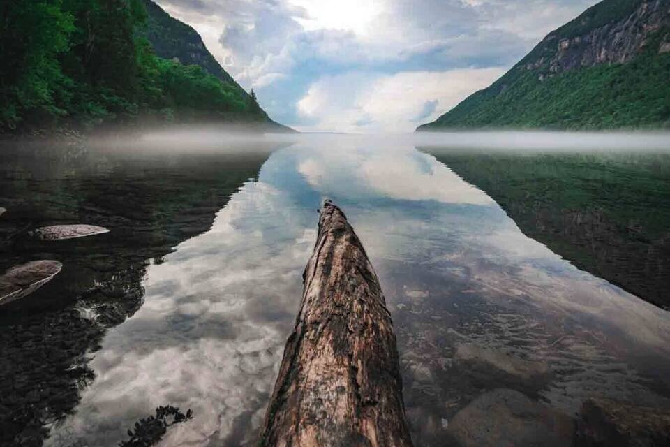 A calm lake with a wooden log in the foreground and mountains in the background.