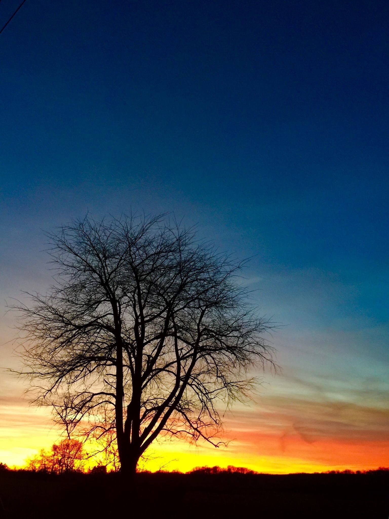 Another delicious afternoon tea with gorgeous sunset to top it off at Rosemont. 