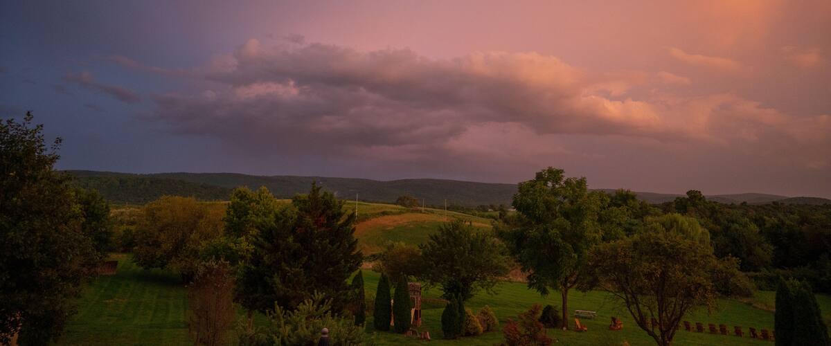 A rural landscape with rolling hills, a variety of trees, and a cloudy sky.