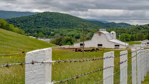Bland County Correctional Farm