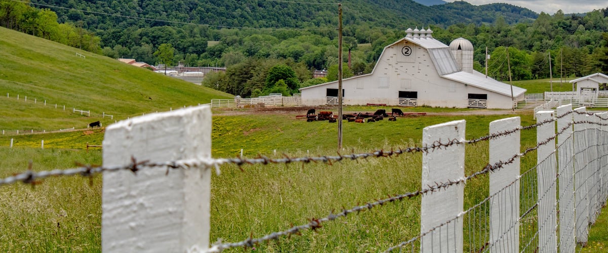 A white barn with a clock, surrounded by green fields and mountains in the background.