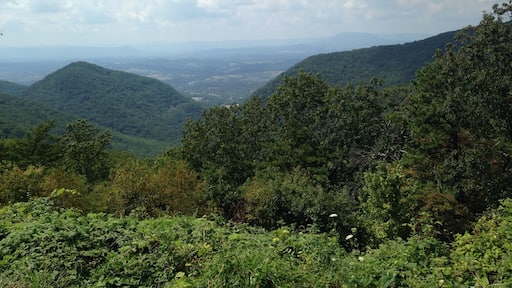 We traveled and camped in both the Smokey's and Shenandoah National Parks. Skyline Drive in Shenandoah National Park is at the ridge with many amazing vistas. Camping in the National Parks on 100 Anniversary of the creation of the National Parks was very exciting. We met a lot of great people as well as exchanged stories about out travels and volunteering in the NP.