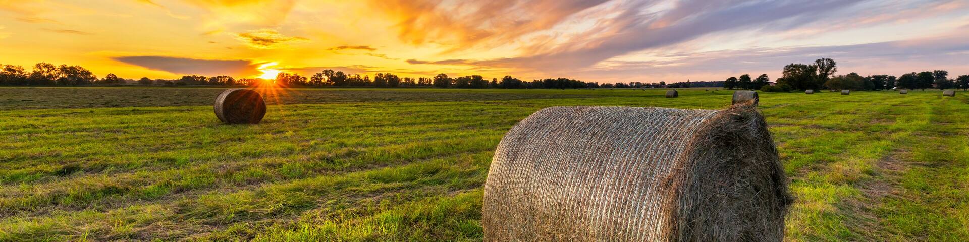 Beautiful sunset over green meadow with hay bales