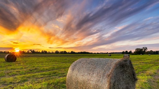 Beautiful sunset over green meadow with hay bales