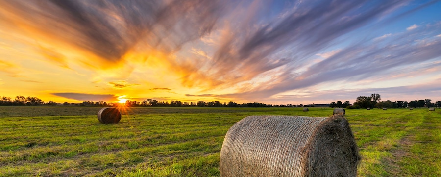 Beautiful sunset over green meadow with hay bales