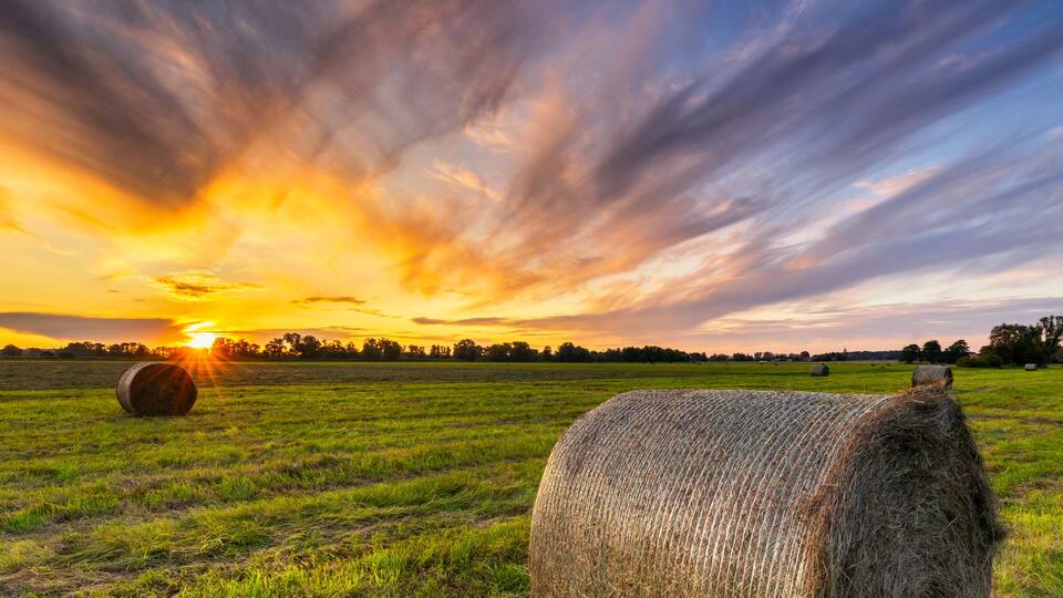 Beautiful sunset over green meadow with hay bales
