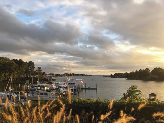 Evenings on Carter's Creek