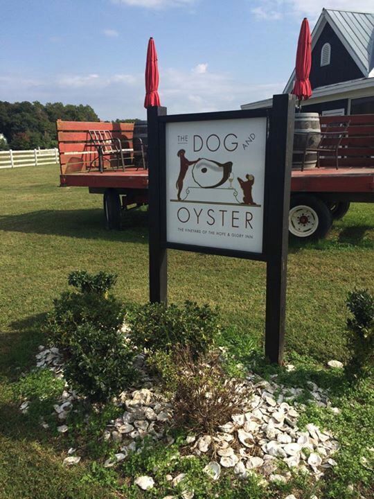 Cute little winery in the Chesapeake in Virginia. We enjoyed the whites which were made to pair well with the local oysters they serve on site. One of the owners will most likely be onsite to chat with you and recommend other things to do in the area.
More info here: http://www.badsentences.com/wine-the-dog-oyster/