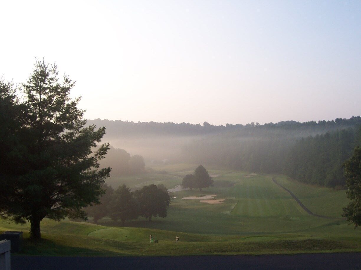 A misty golf course with trees and a clear sky.