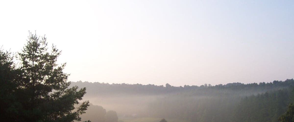 A misty golf course with trees and a clear sky.