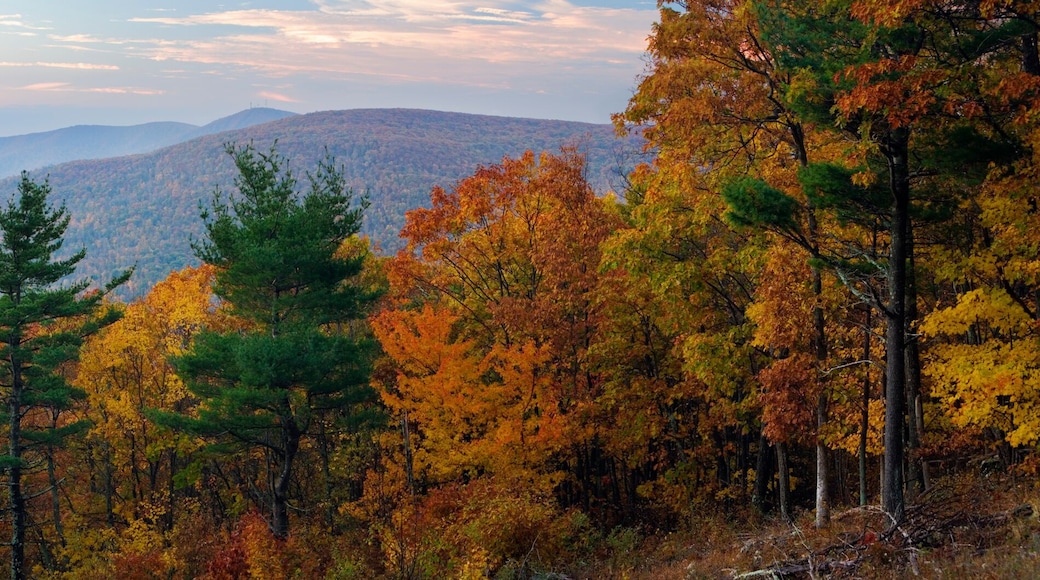 Skyline Drive Shenandoah National Park, Virginia, USA